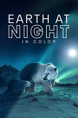 Earth At Night In Color Poster