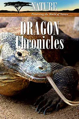 Nature Dragon Chronicles Poster