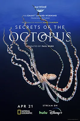 Secrets Of The Octopus Poster