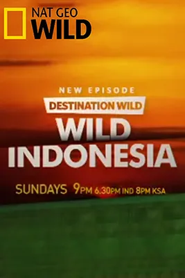 Wild Indonesia Poster