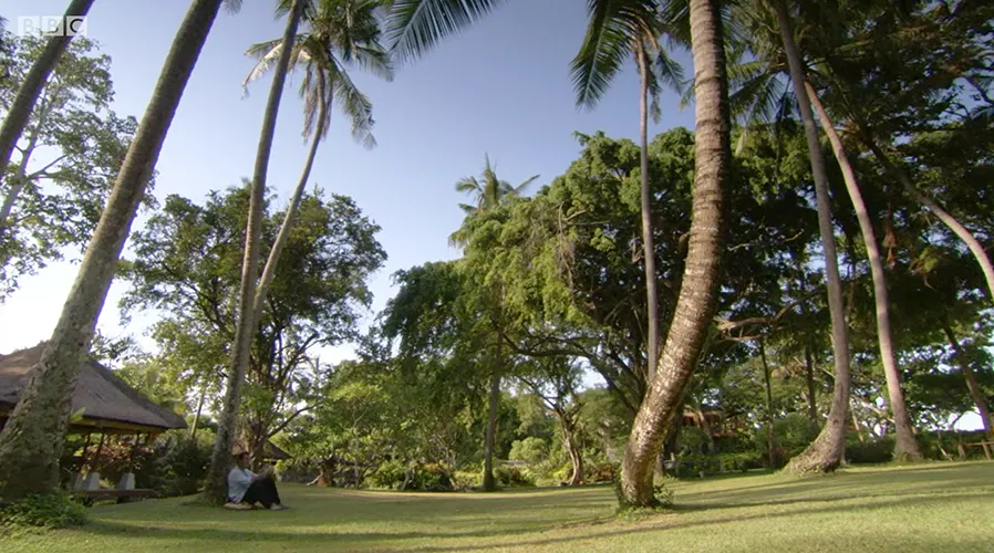 Around the world in 80 gardens 13 500t