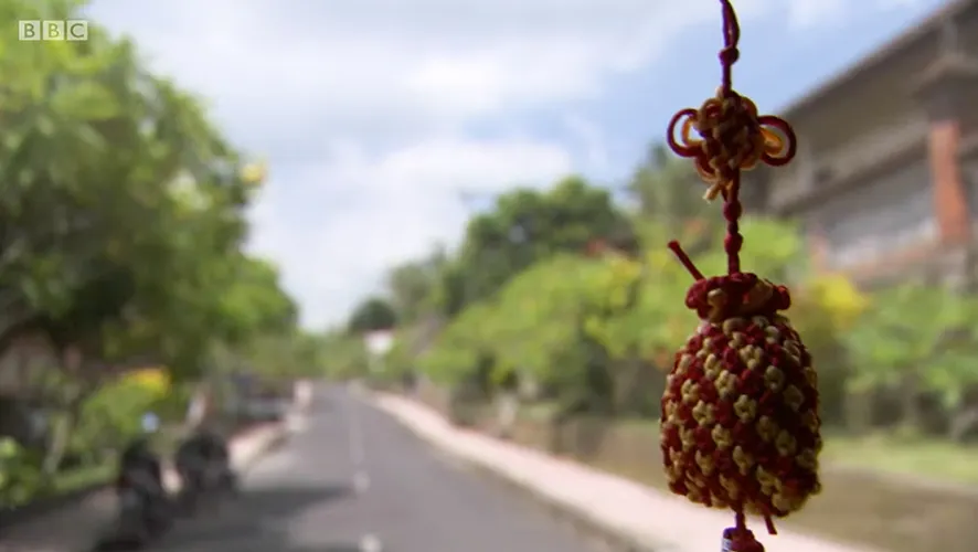 Around the world in 80 gardens 17 500t