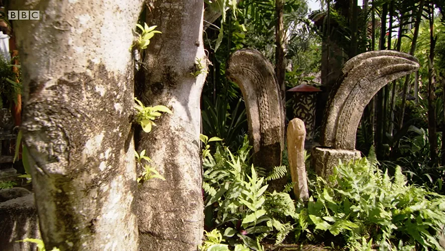 Around the world in 80 gardens 18 500t