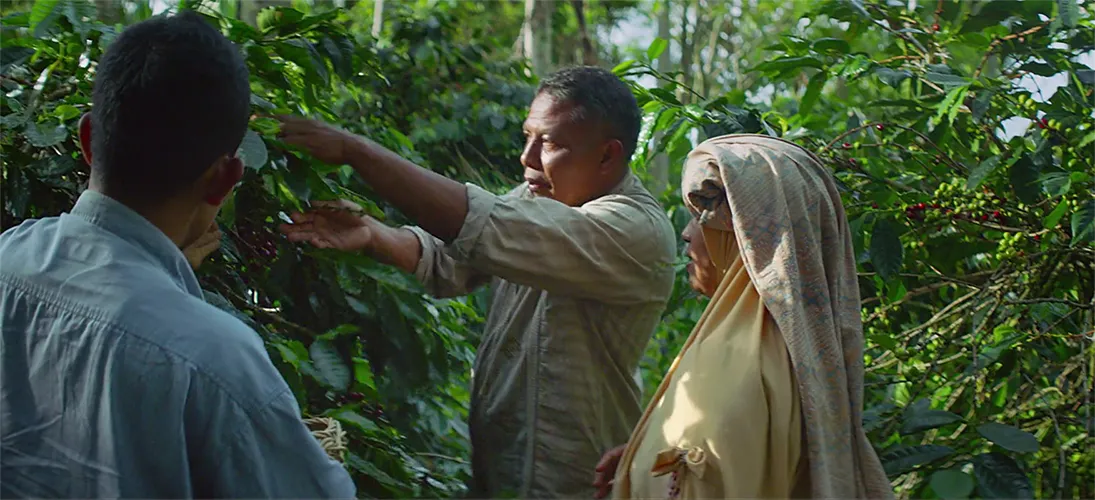 Nespresso master origins o2500t