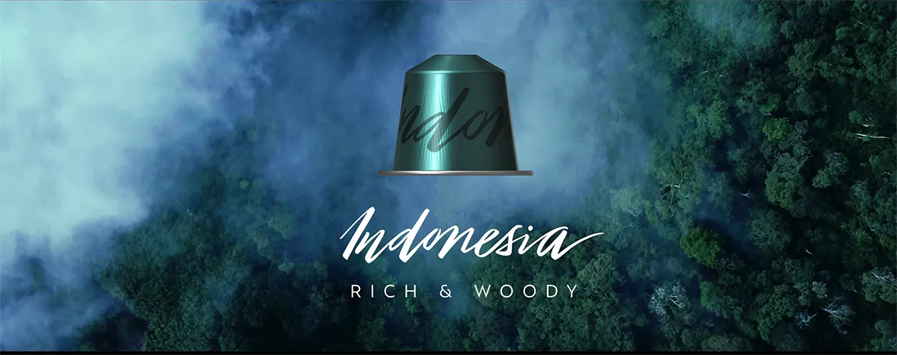 Nespresso master origins o4500t