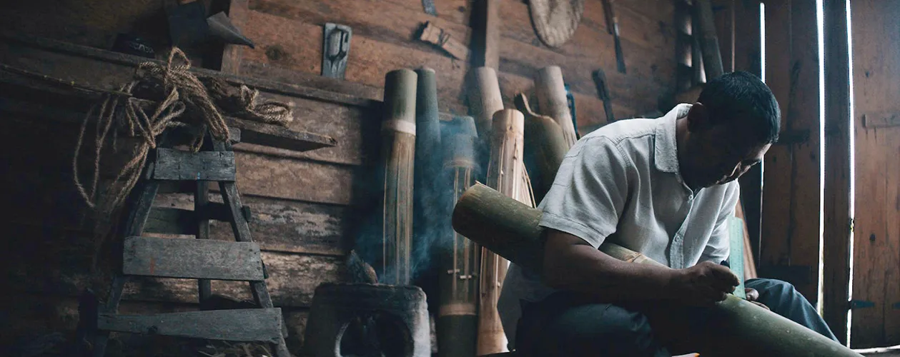 Nespresso master origins o5500t