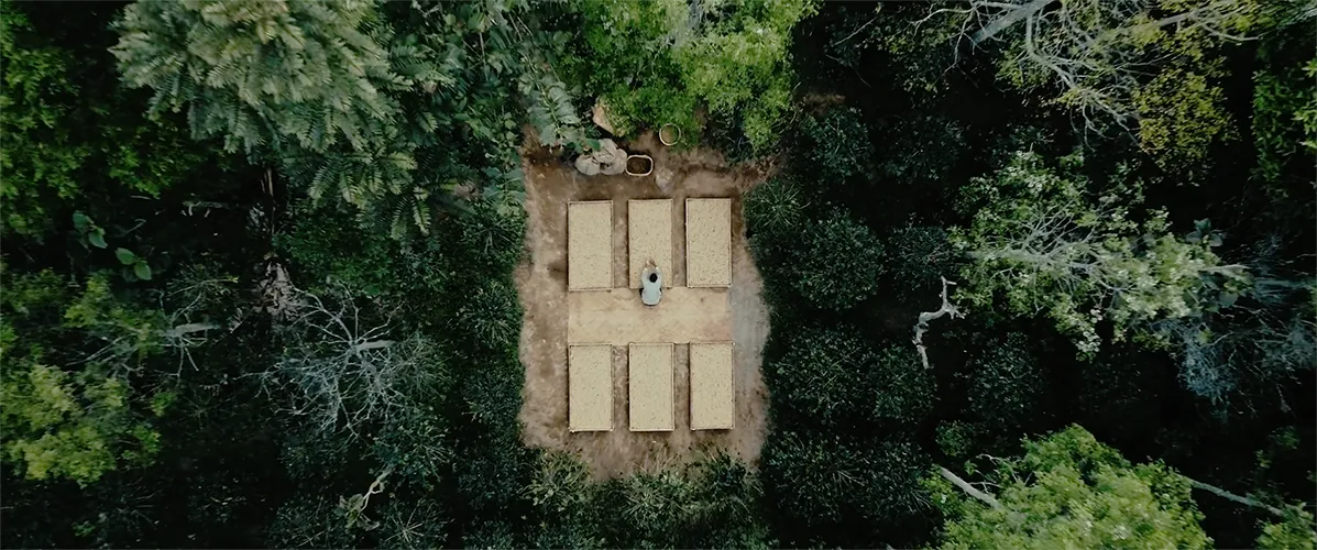 Nespresso master origins o6500t